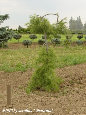 parks_nursery004020.jpg