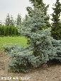 parks_nursery004028.jpg