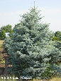 parks_nursery004029.jpg